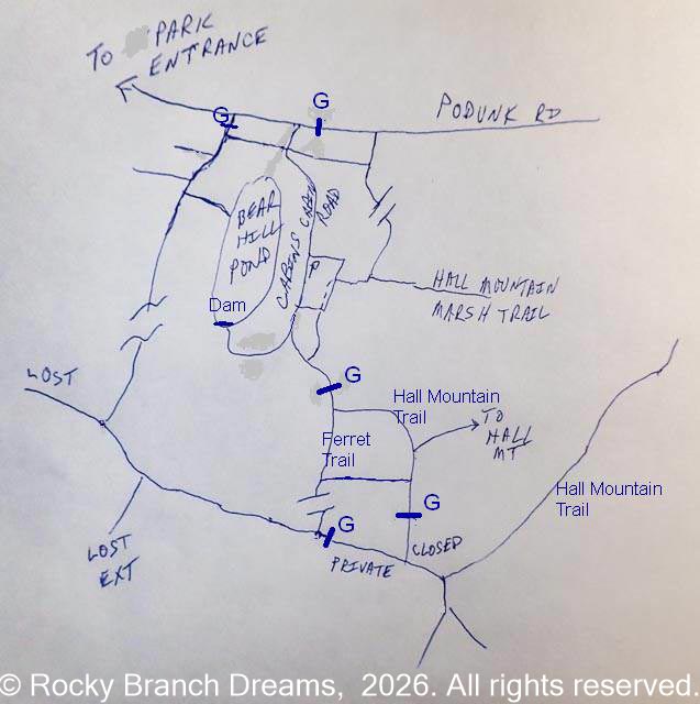 Bear Brook Map Update